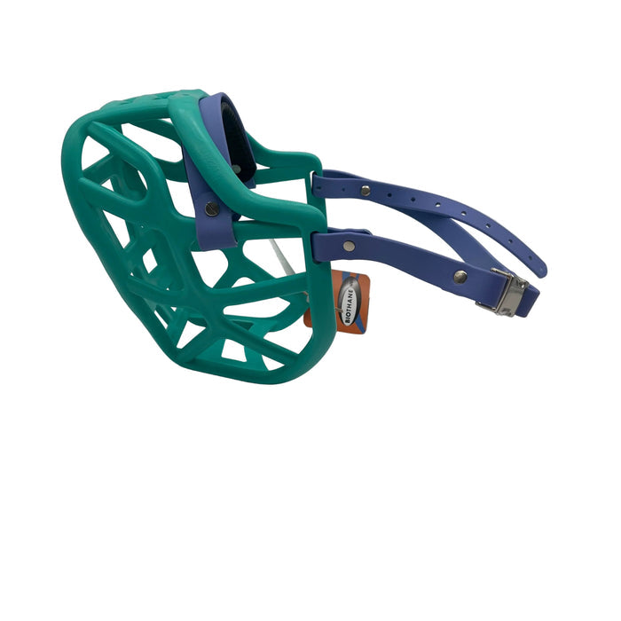 Harry 2.0 - Teal with Periwinkle biothane & foam noseband (Quick Release)