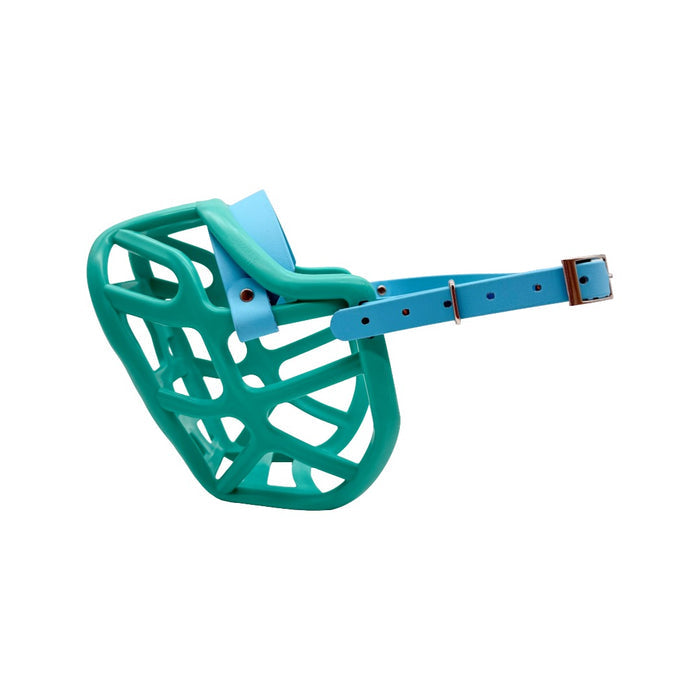 Harry* 2.0 - Teal with Skyan Blue biothane (Nickle)