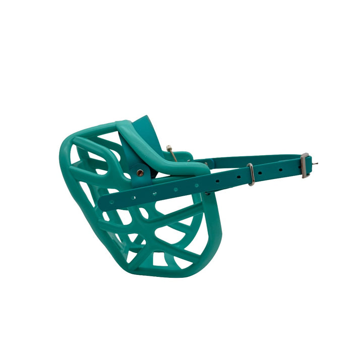 Harry* 2.0 - Teal with Teal biothane (Nickle)
