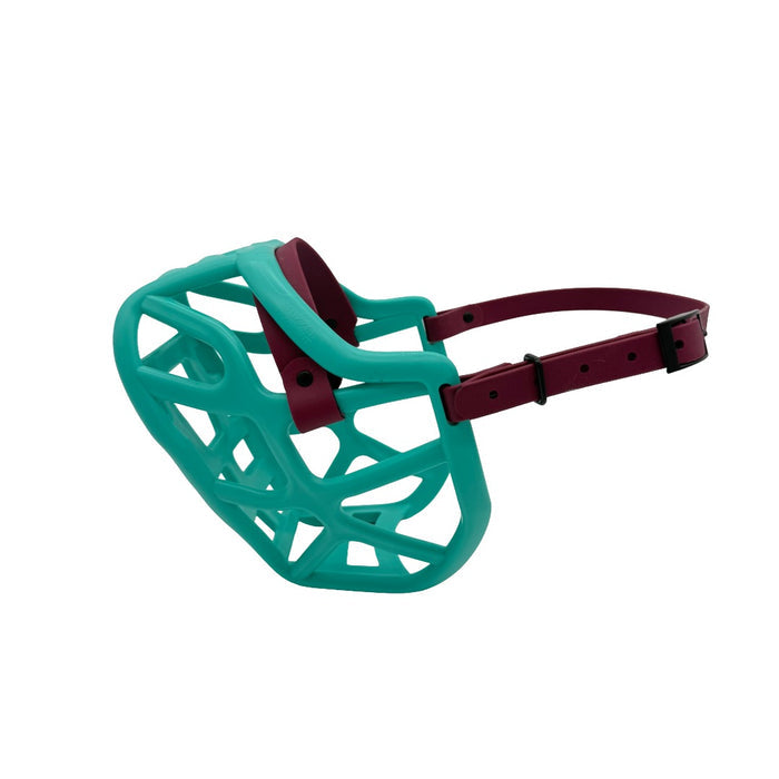 Harry 2.0 - Teal with Wine biothane (Black)
