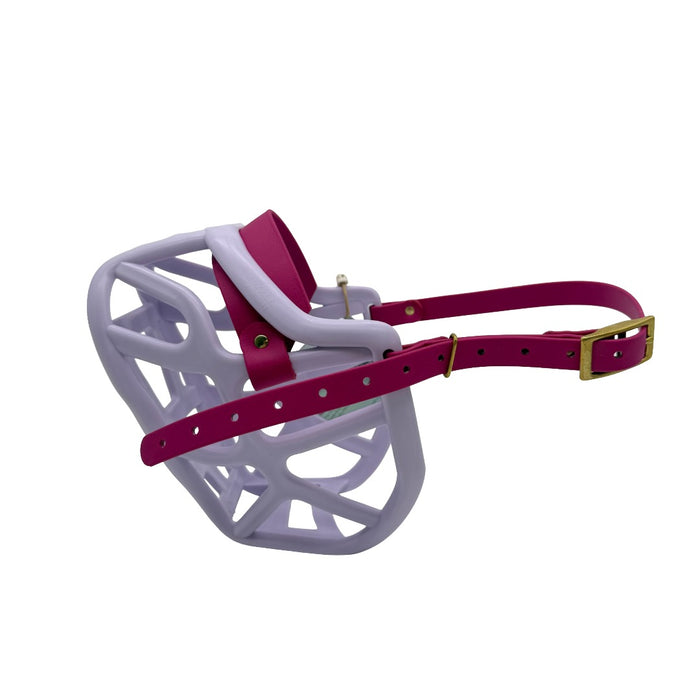 Harry* 2.0 - Lilac with Magenta Pink biothane (Brass)