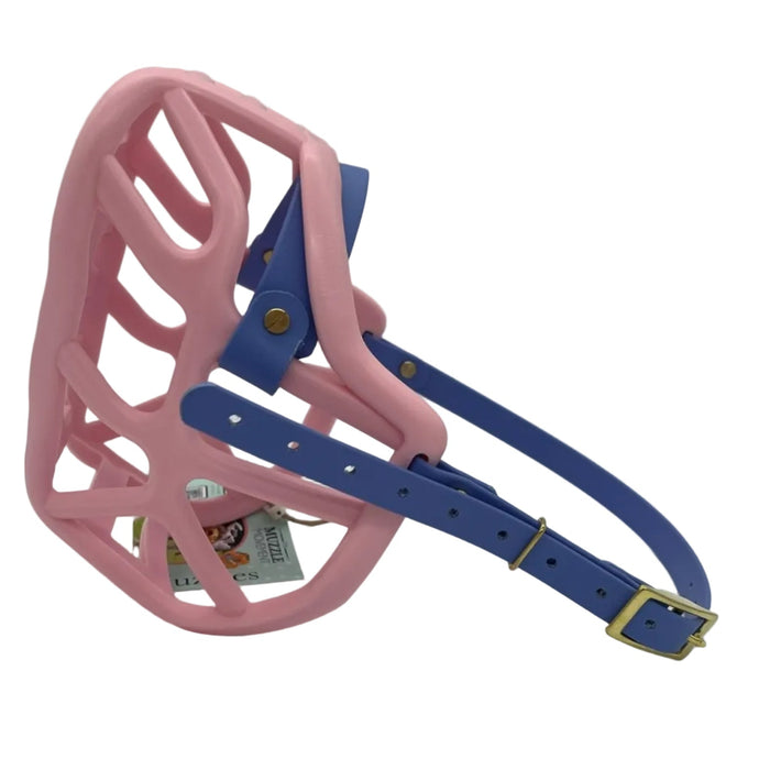 Harry 2.0 - Pastel Pink with Periwinkle biothane (Brass hardware & Chicago Screws)