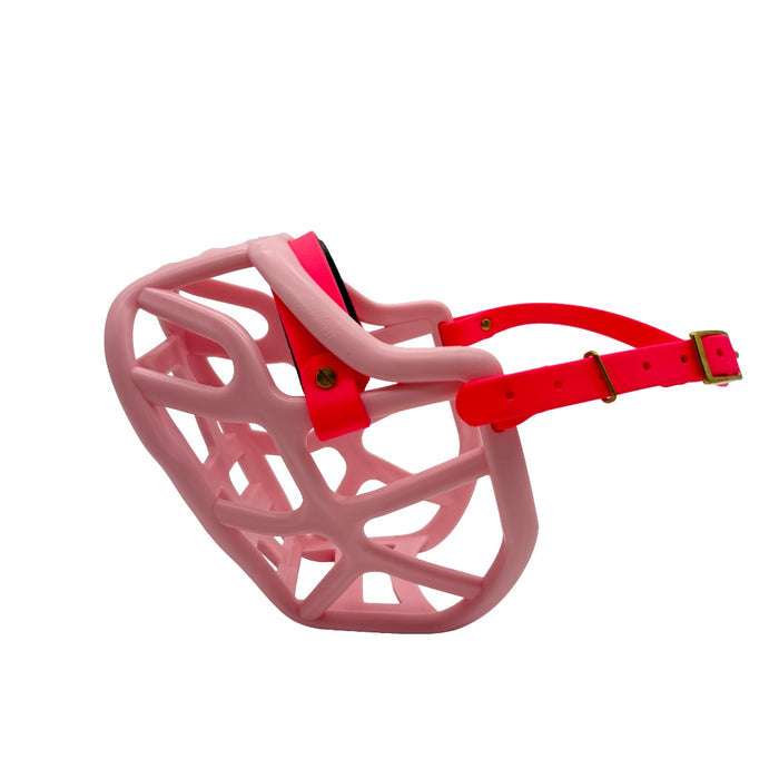Harry 2.0 - Pastel Pink with Neon Pink biothane & foam noseband (Brass)
