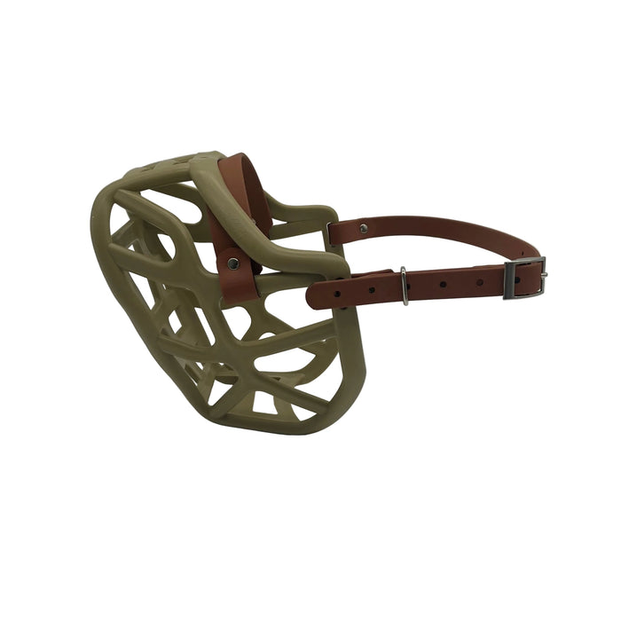 Harry 2.0 - Khaki with Light Brown biothane (Nickle)
