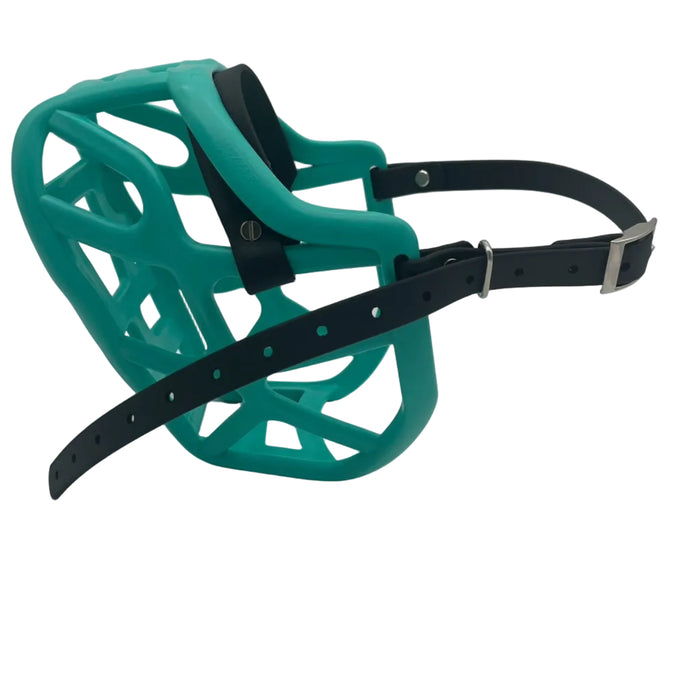 The Muzzle Movement Teal Harry 2.0 dog muzzle with black straps and nickle hardware with chicago screws on a white background
