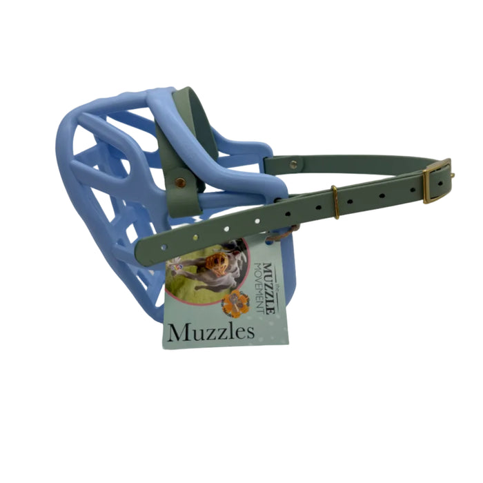 Harry 2.0 - Baby Blue with Sage Green biothane (Brass)