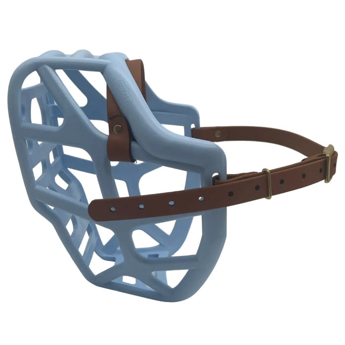 Mitzy - Baby Blue with Light Brown biothane (Brass)
