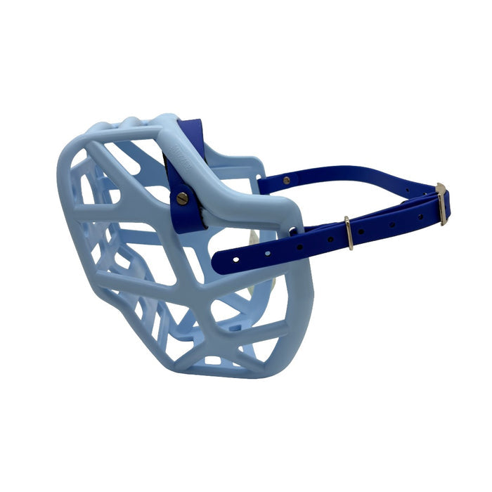 Mitzy - Baby Blue with Dark Blue biothane & foam noseband (Nickle)