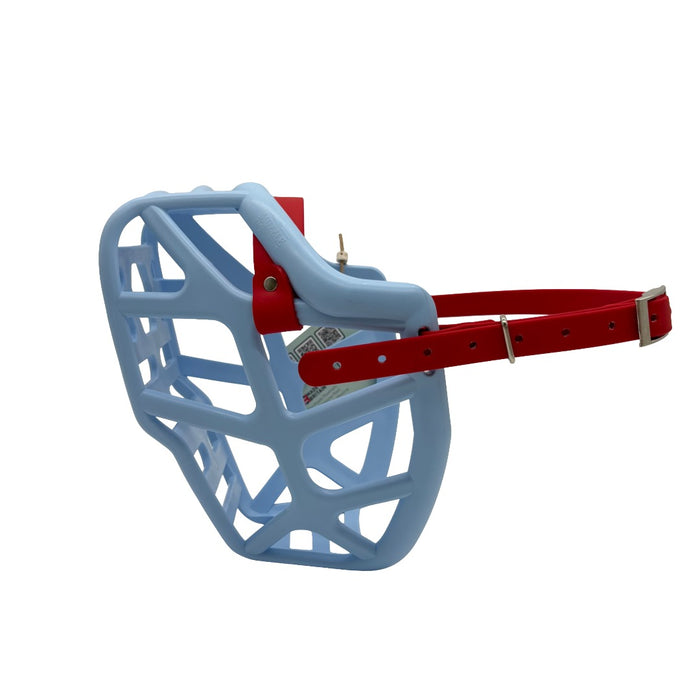 Mitzy - Baby Blue with Red biothane (Nickle)
