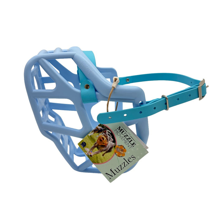 Mitzy - Baby Blue with Skyan Blue biothane (Nickle)