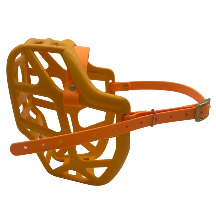 Mizty - Orange with Peach biothane (Brass)