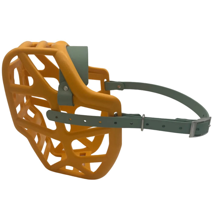 Mitzy* - Orange with Sage Green biothane (Nickel)