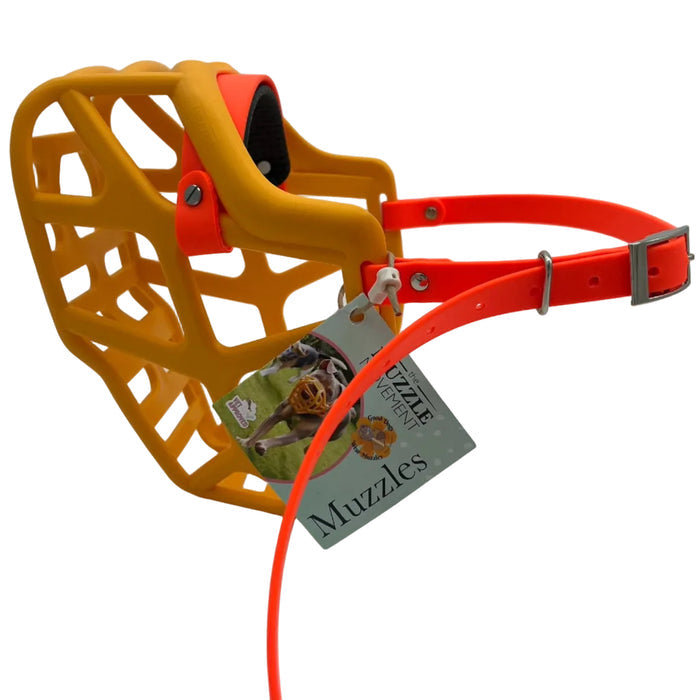 Mitzy - Orange with Orange biothane & foam noseband (Nickle)