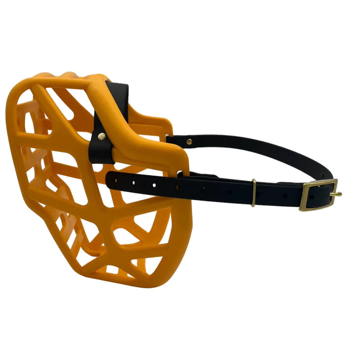 Mitzy - Orange with Black biothane (Rivets & Brass)