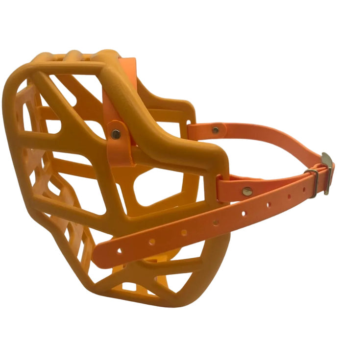 Mitzy - Orange with Peach biothane (Brass)