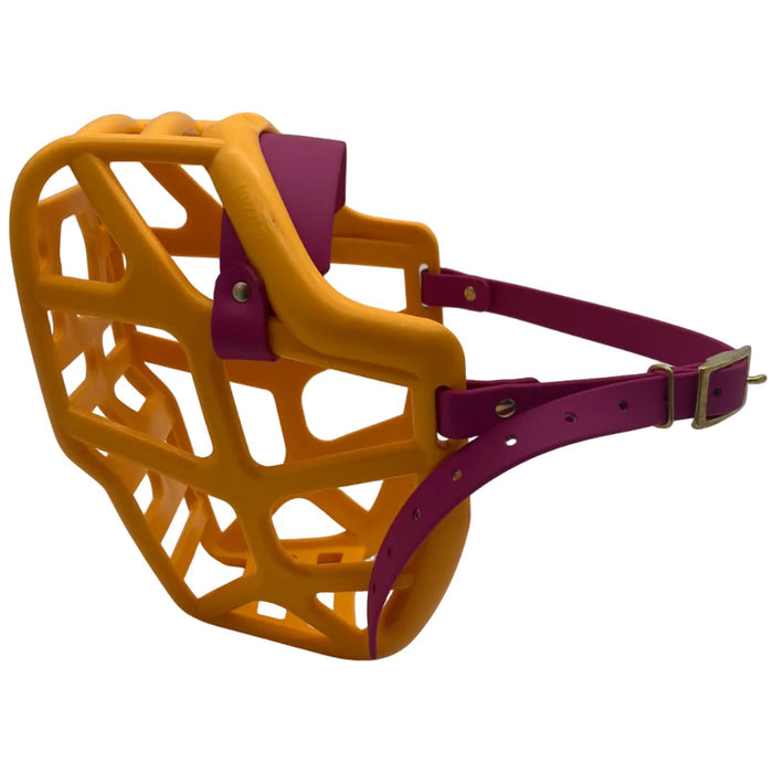 Mitzy* - Orange with Magenta Pink biothane (Brass)