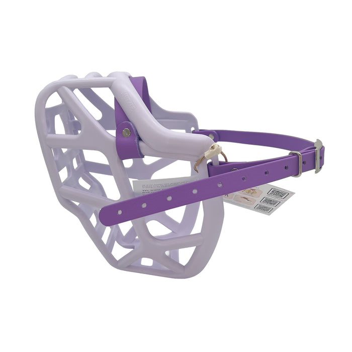 Mitzy - Lilac with Amethyst Purple Biothane (Chicago Screws & Nickle)