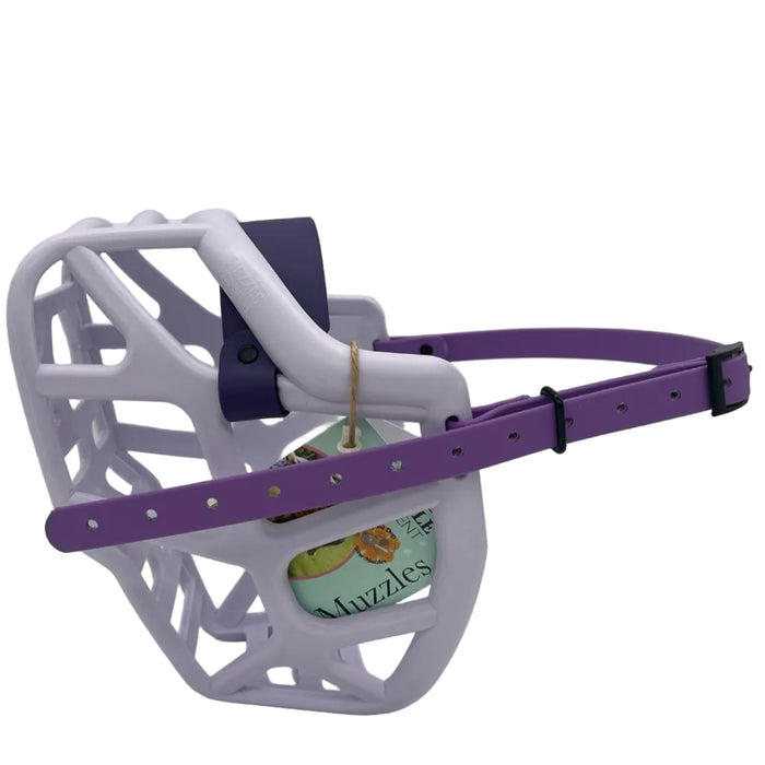 Mitzy* - Lilac with Violet noseband & Amethyst Purple biothane (Black)