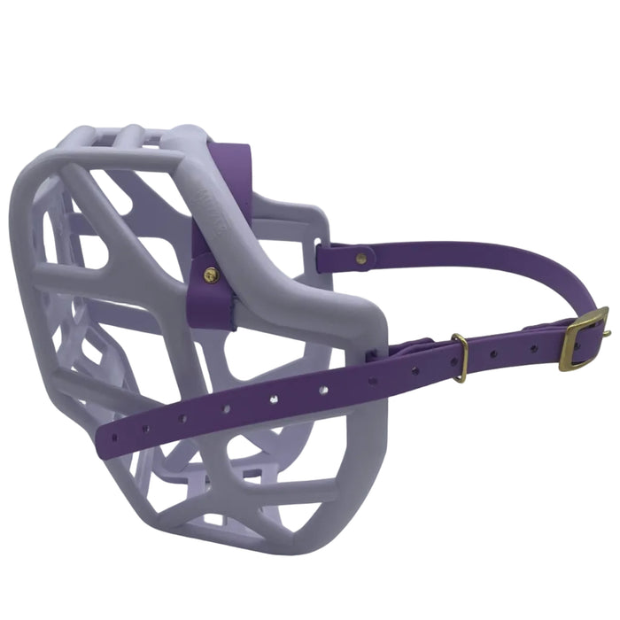 Mitzy - Lilac with Amethyst Purple biothane (Brass)