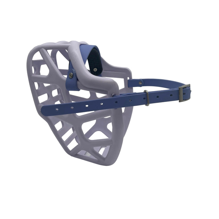 Mitzy - Lilac with Periwinkle biothane & foam noseband (Nickle)