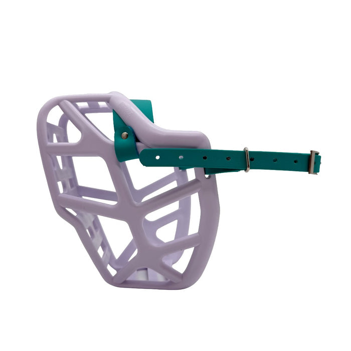 Mitzy* - Lilac with Teal biothane (Nickle)
