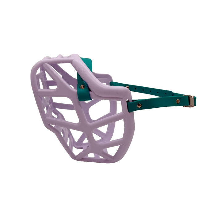 Mitzy - Lilac with Teal biothane (Quick Release)