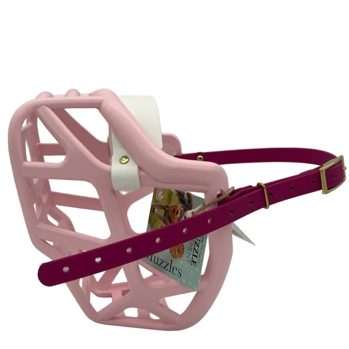 Mitzy* - Pastel Pink with White noseband & Magenta Pink biothane (Brass)