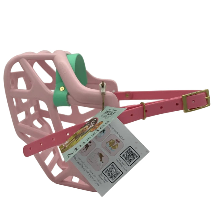 Mitzy - Pastel Pink with Caribbean Green noseband & Pastel Pink biothane (Brass)