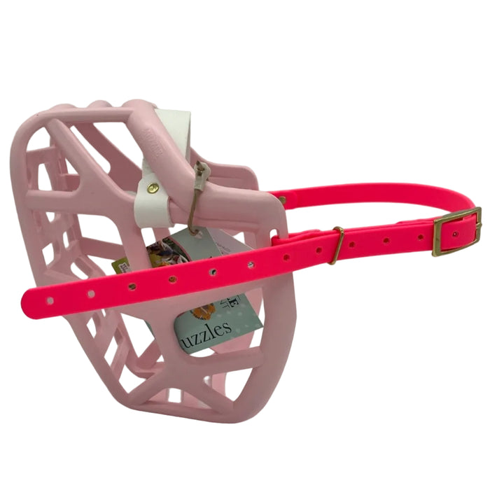 Mitzy - Pastel Pink with White noseband & Neon Pink biothane (Brass)