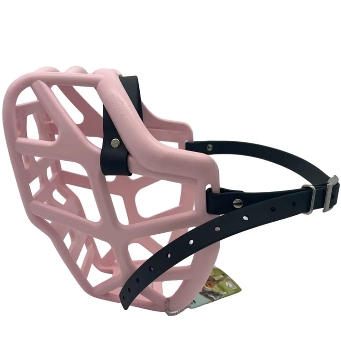 Mitzy - Pastel Pink with Black biothane (Rivets & Nickle)