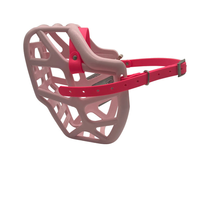 Mitzy - Pastel Pink with Neon Pink biothane (Nickle)