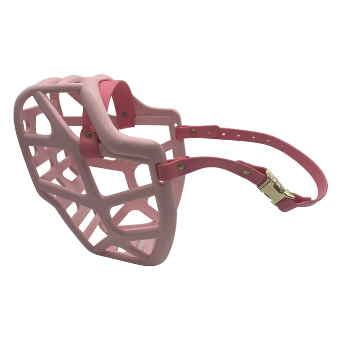 Mitzy - Pastel Pink with Pastel Pink biothane (Quick Release)
