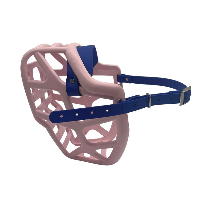 Mitzy* - Pastel Pink with Dark Blue biothane (Nickle)