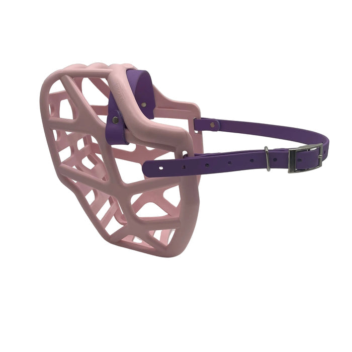 Mitzy - Pastel Pink with Amethyst Purple biothane (Nickle)