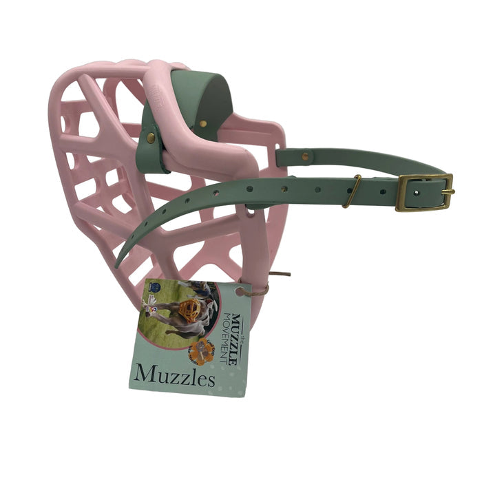Mitzy* - Pastel Pink with Sage Green biothane (Brass)