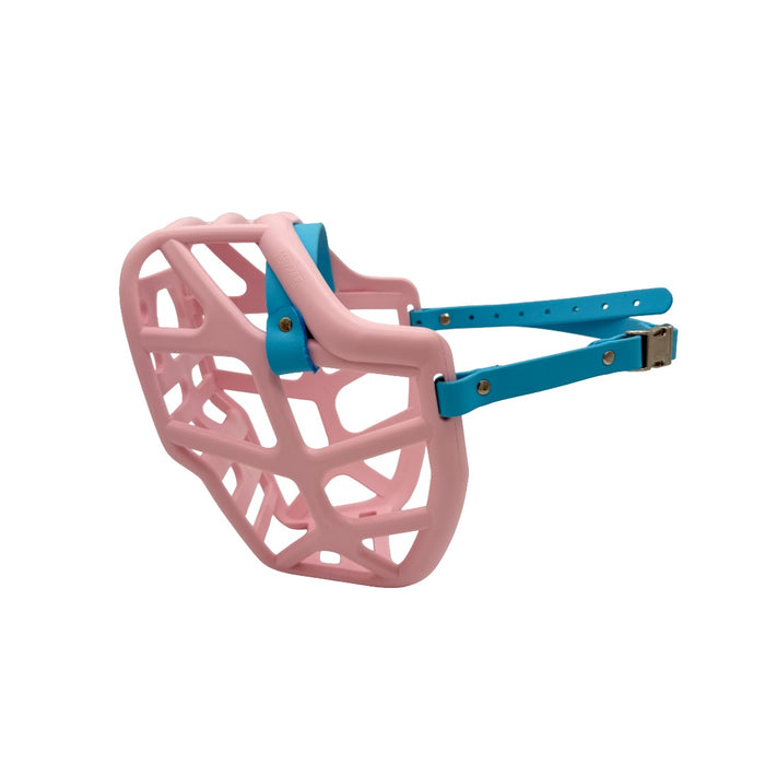 Mitzy - Pastel Pink with Skyan Blue biothane (Quick Release)