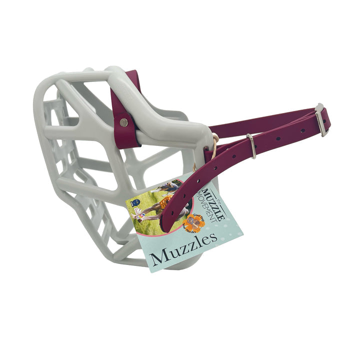 Mitzy - Grey with Wine Biothane (Chicago Screws & Nickle)