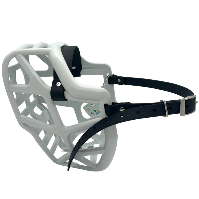 Mizty - Grey with Black biothane (Rivets)