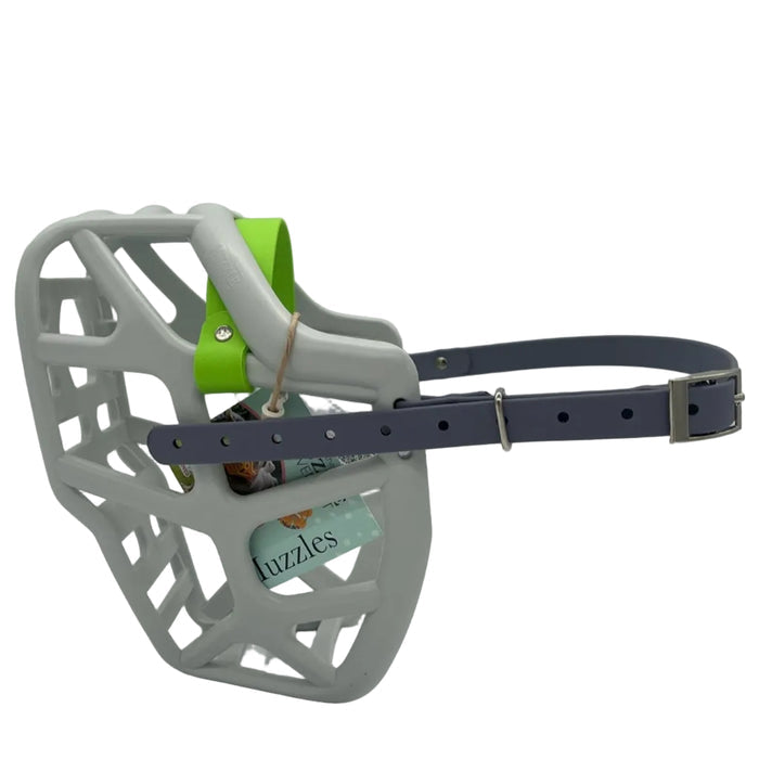 Mitzy - Grey with Apple Green noseband & Grey biothane (Nickle)