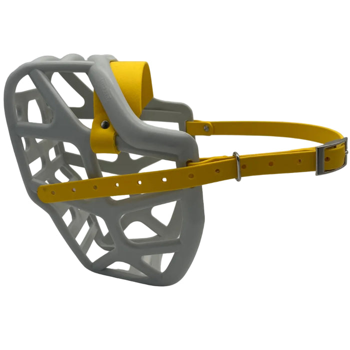 Mitzy* - Grey with Yellow biothane (Nickle)