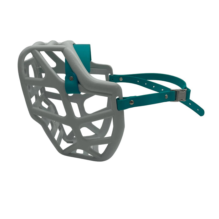 Mitzy* - Grey with Teal biothane (Quick Release)