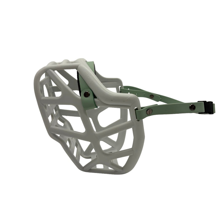 Mitzy - Grey with Sage Green biothane & foam noseband (Quick Release & Chicago Screws)