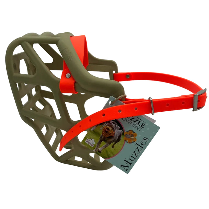 Mitzy - Khaki with Orange biothane (Nickle)