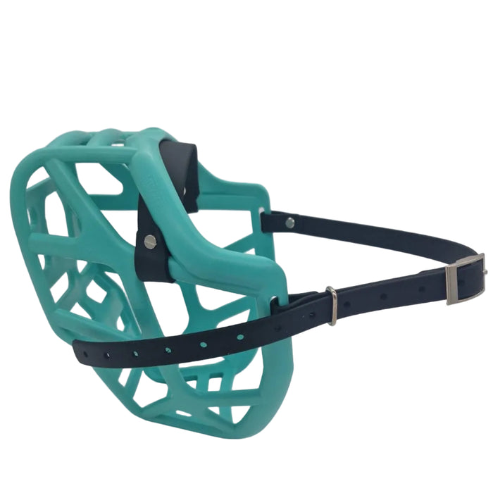 Size Mitzy Dog Muzzle - ready to ship