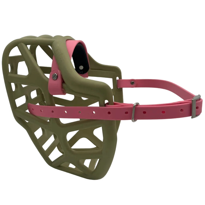 Mitzy - Khaki with Pastel Pink biothane & foam noseband (Nickle)