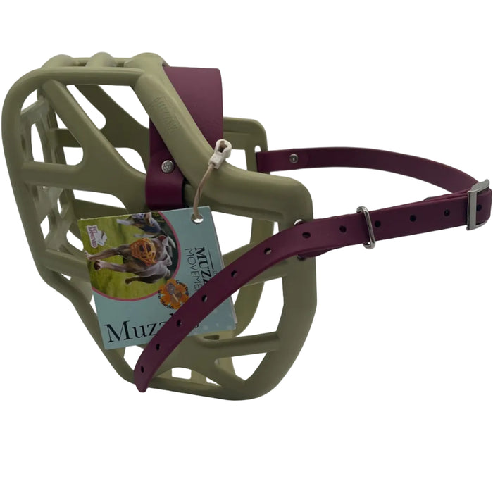 Mitzy* - Khaki with Wine biothane (Nickle)