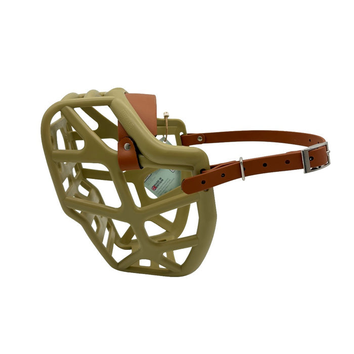 Mitzy* - Khaki with Light Brown biothane (Nickle)