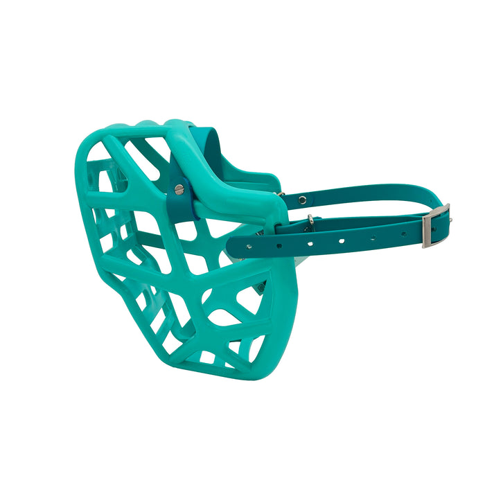 Mitzy - Teal with Teal Biothane (Chicago Screws & Nickle)