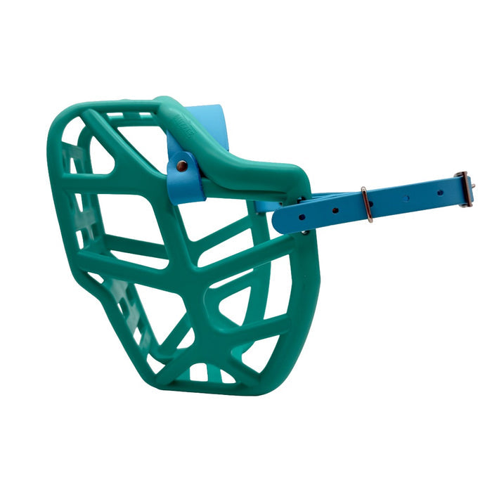 Mitzy* - Teal with Skyan Blue biothane (Nickle)