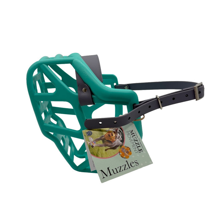 Mitzy* - Teal with Grey biothane (Nickle)